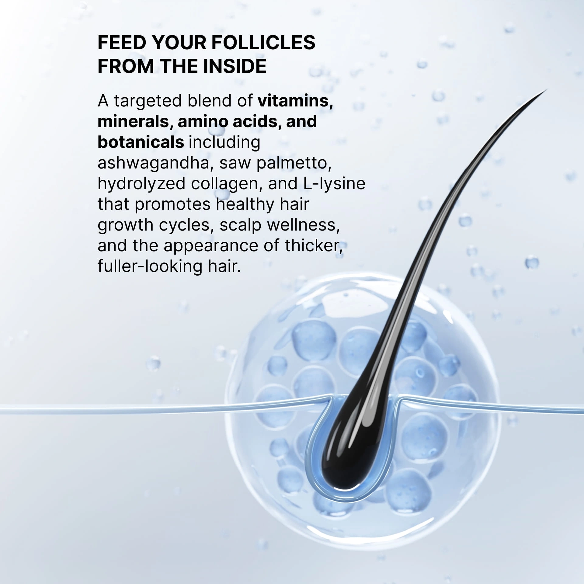 Hair nutrition graphic for fuller-looking strands