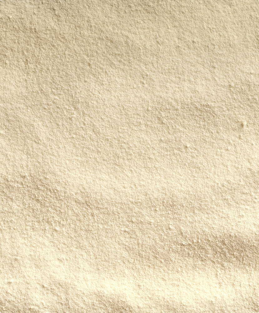 Hydrolyzed Wheat Protein