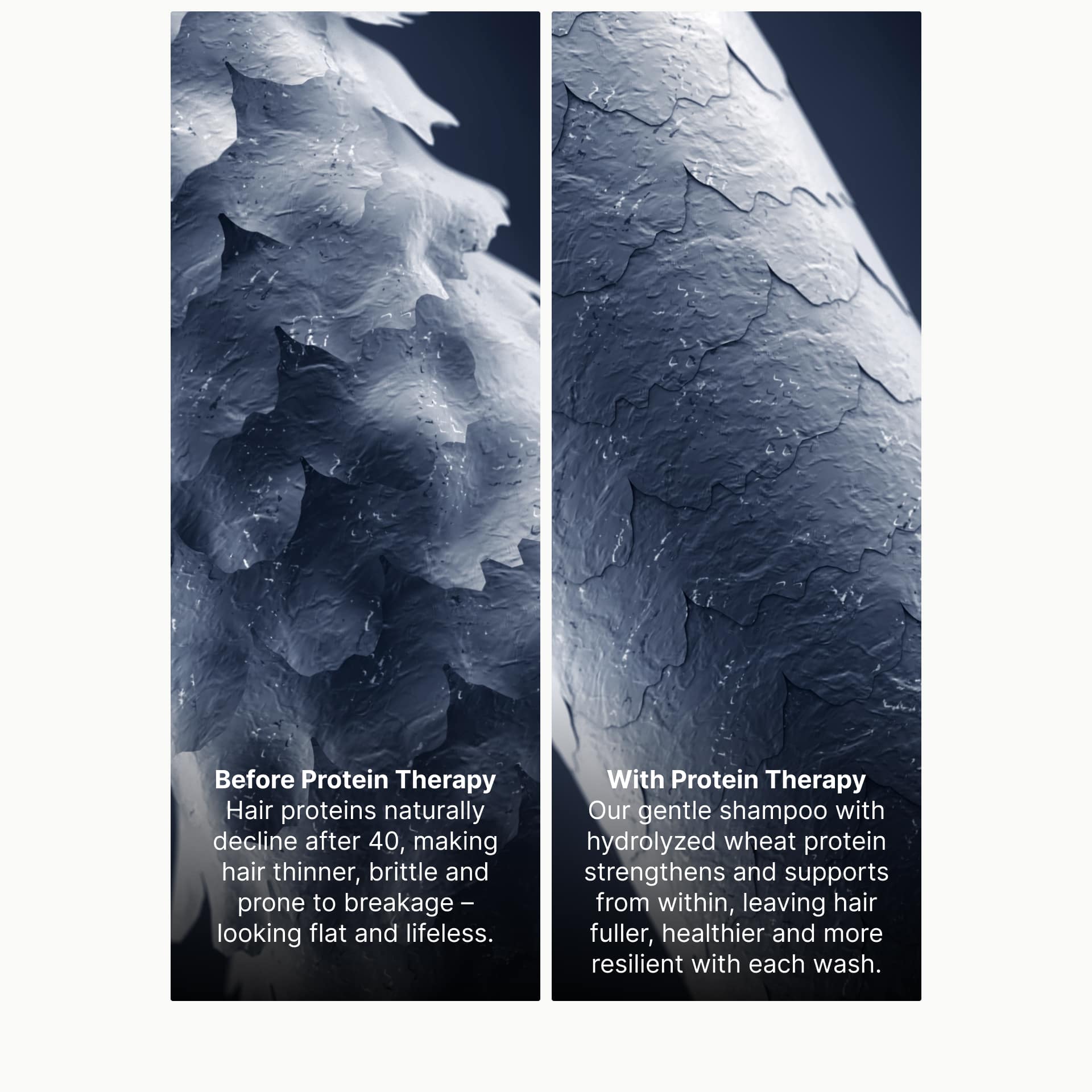 Before and after protein therapy on hair strands