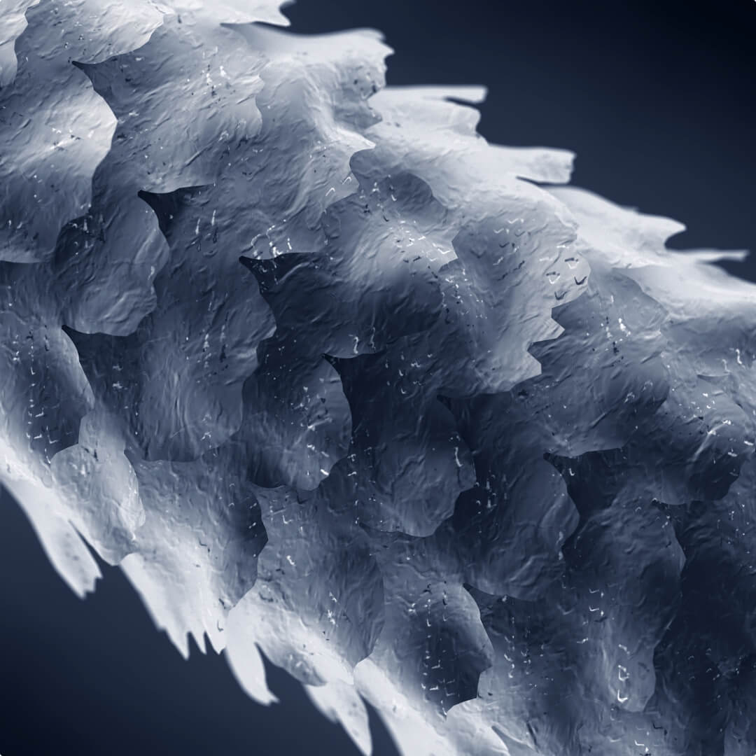 Microscopic close-up of damaged hair shaft