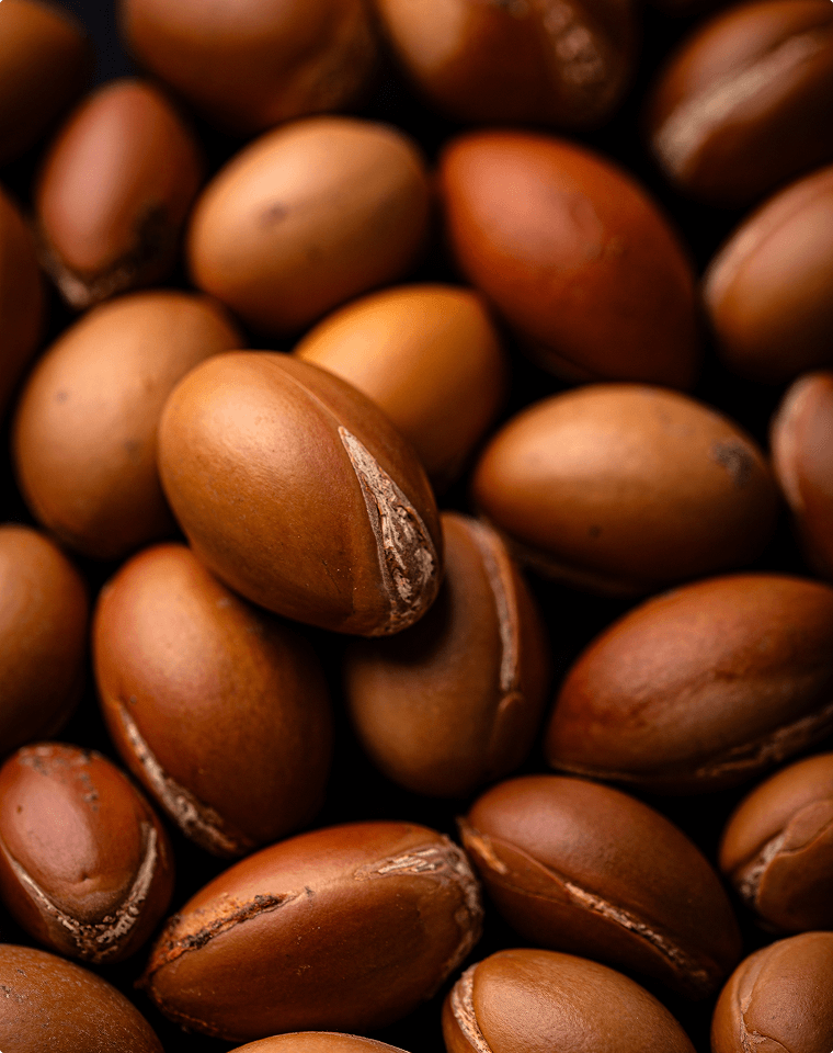 Argan Kernel