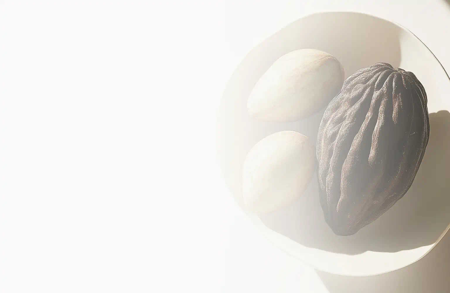 Cocoa pod and seeds in a ceramic bowl