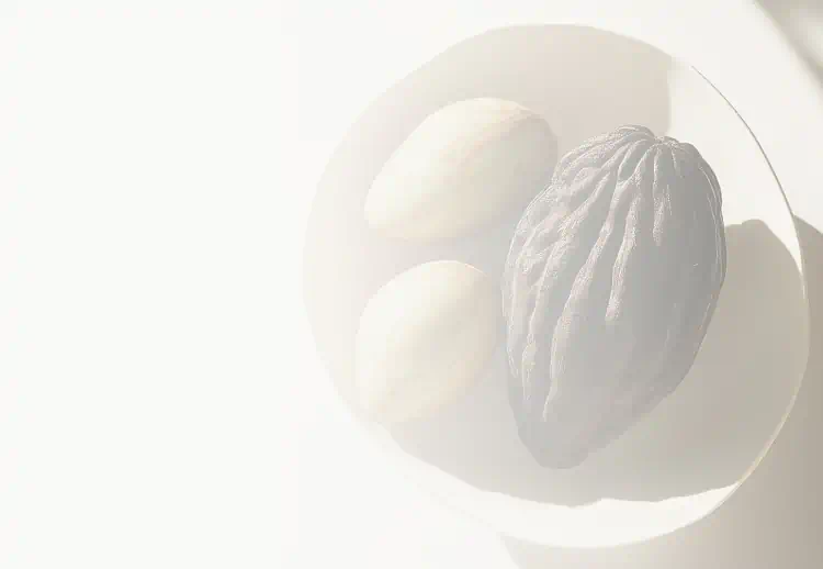 Cocoa pod and seeds in a ceramic bowl