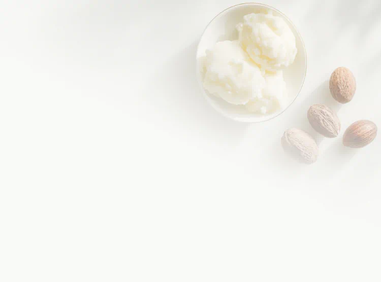 Bowl of ivory-colored shea butter with whole shea nuts on a white background