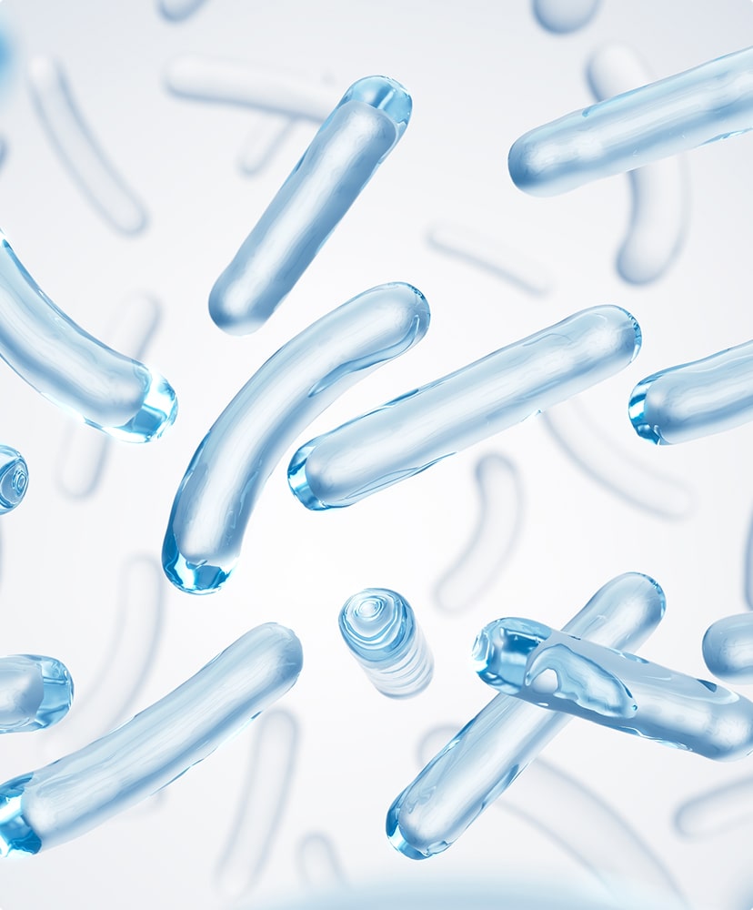 Lactobacillus acidophilus