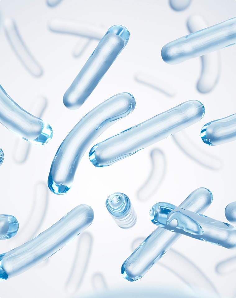 Lactobacillus acidophilus